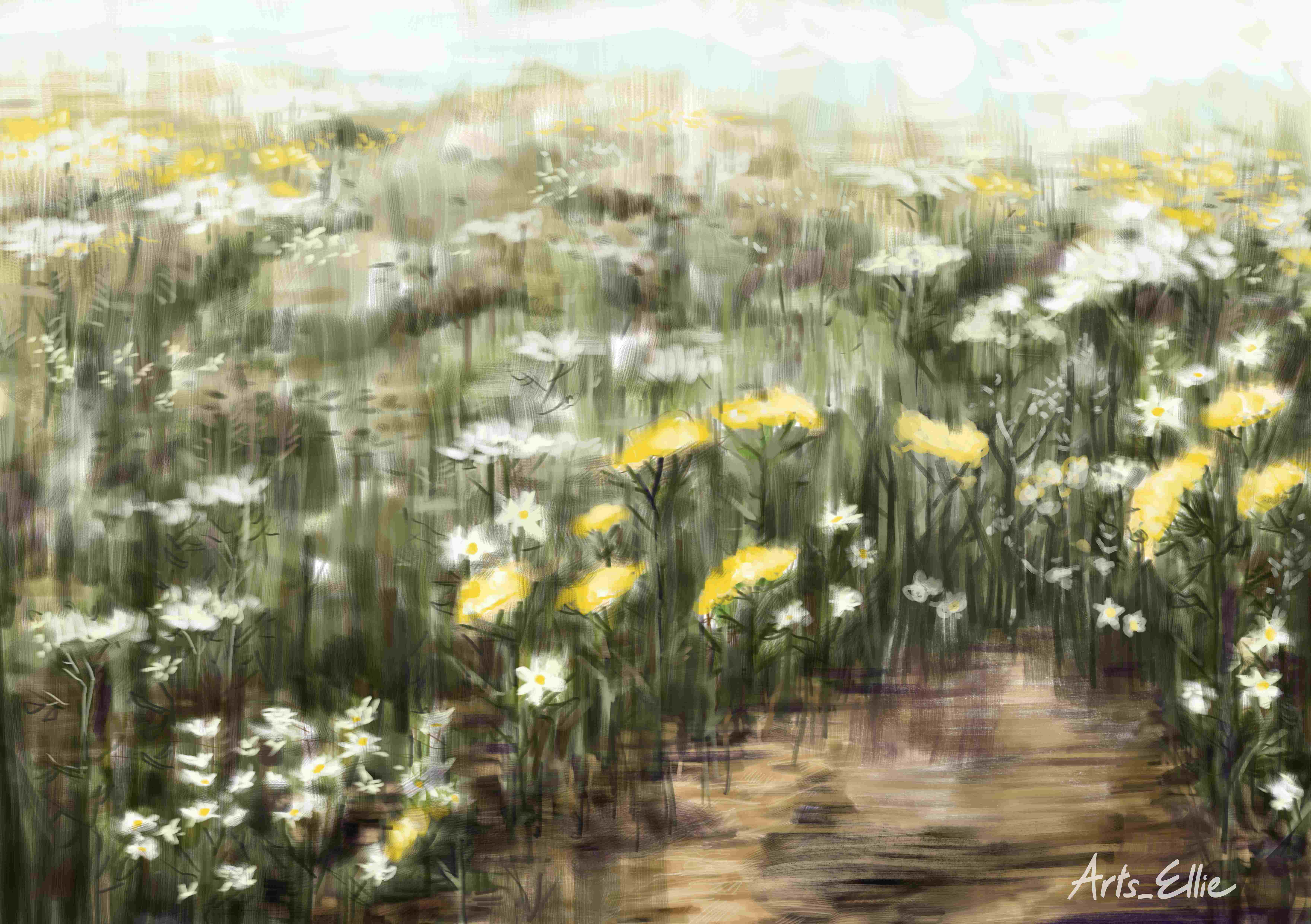 Meadow in my Memory