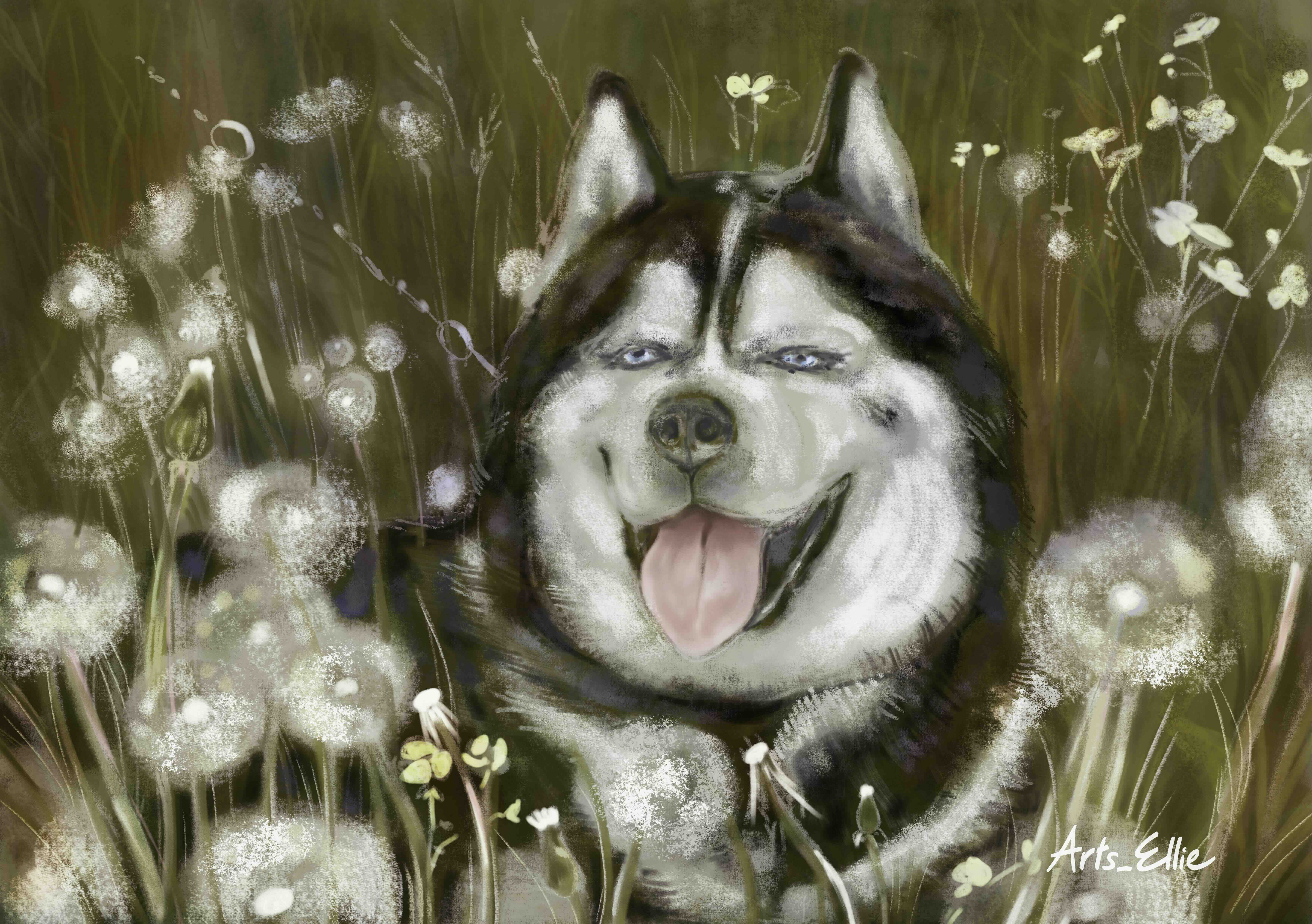 Dandelion Fields - June 2022