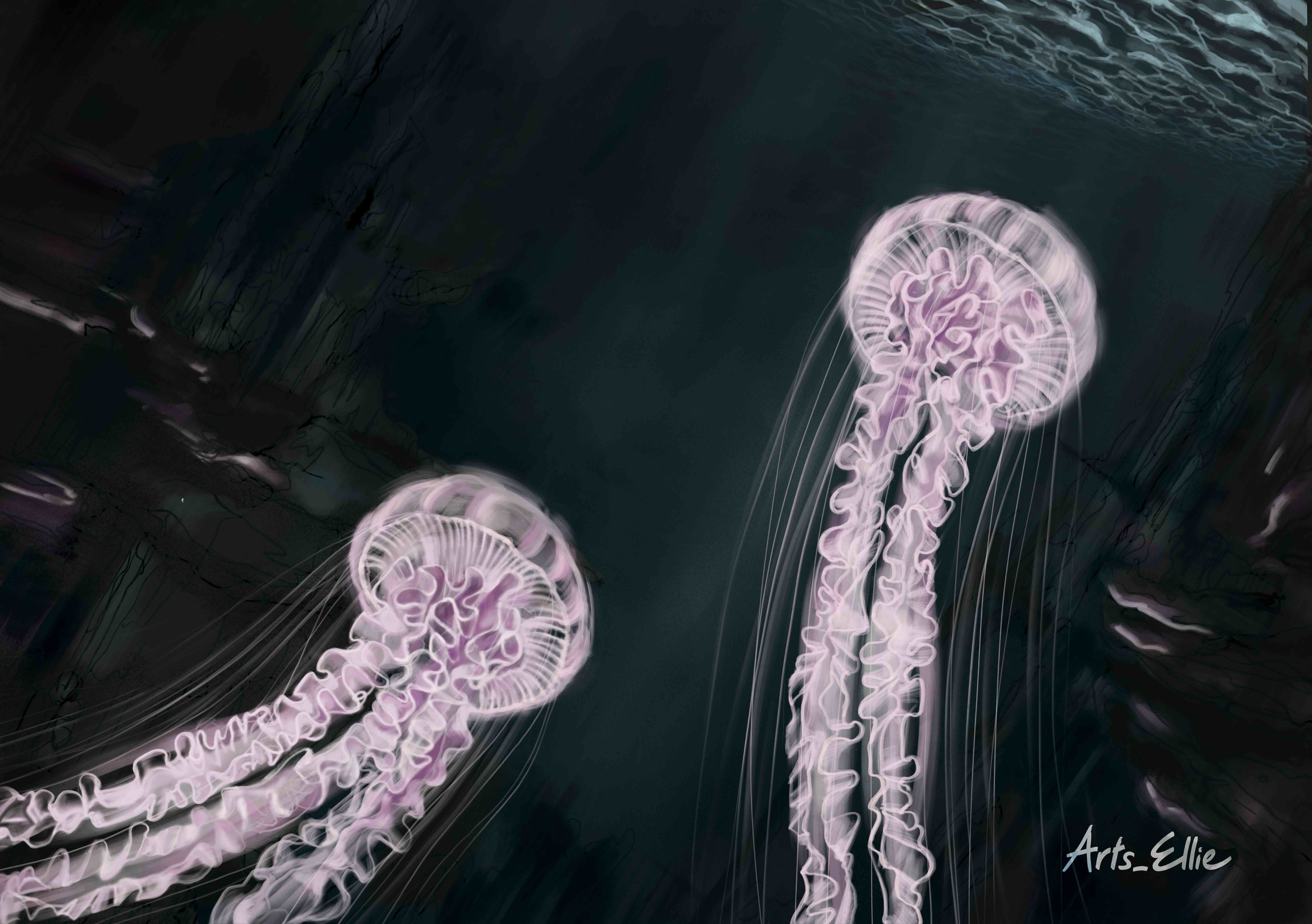 Silence of the Ocean - August 2024