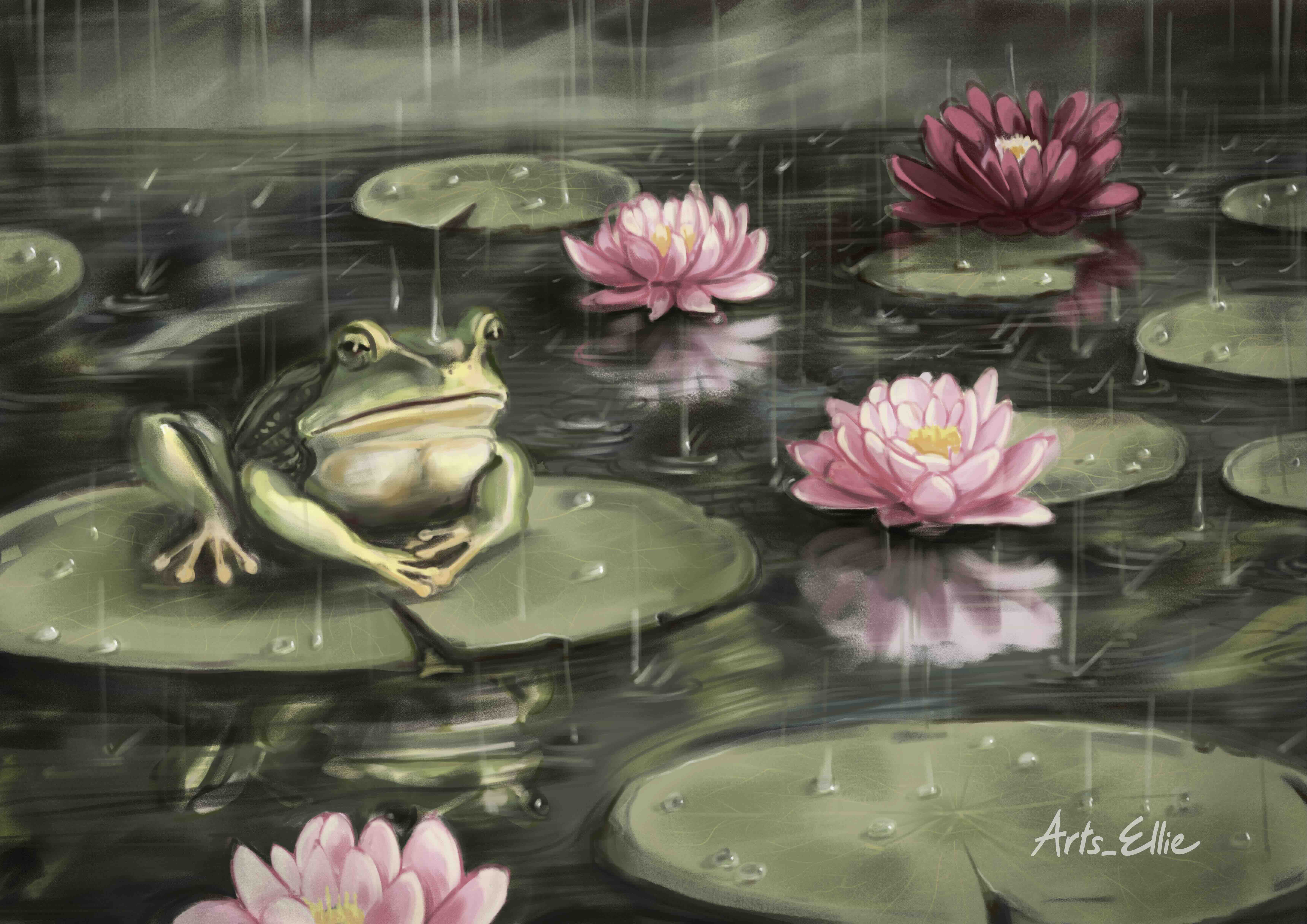 Meditation - June 2024