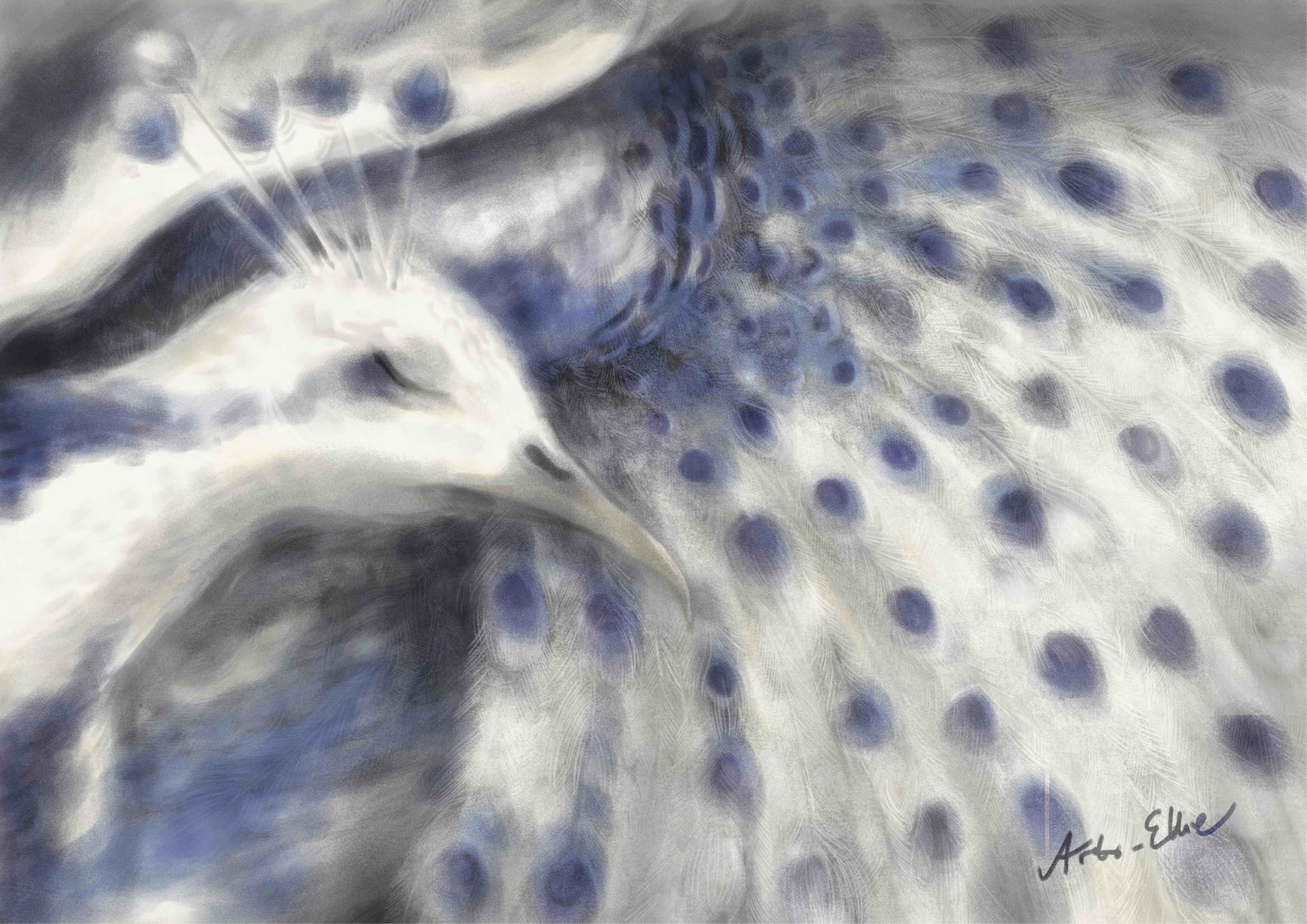 Thousand Eyes to See - August 2024