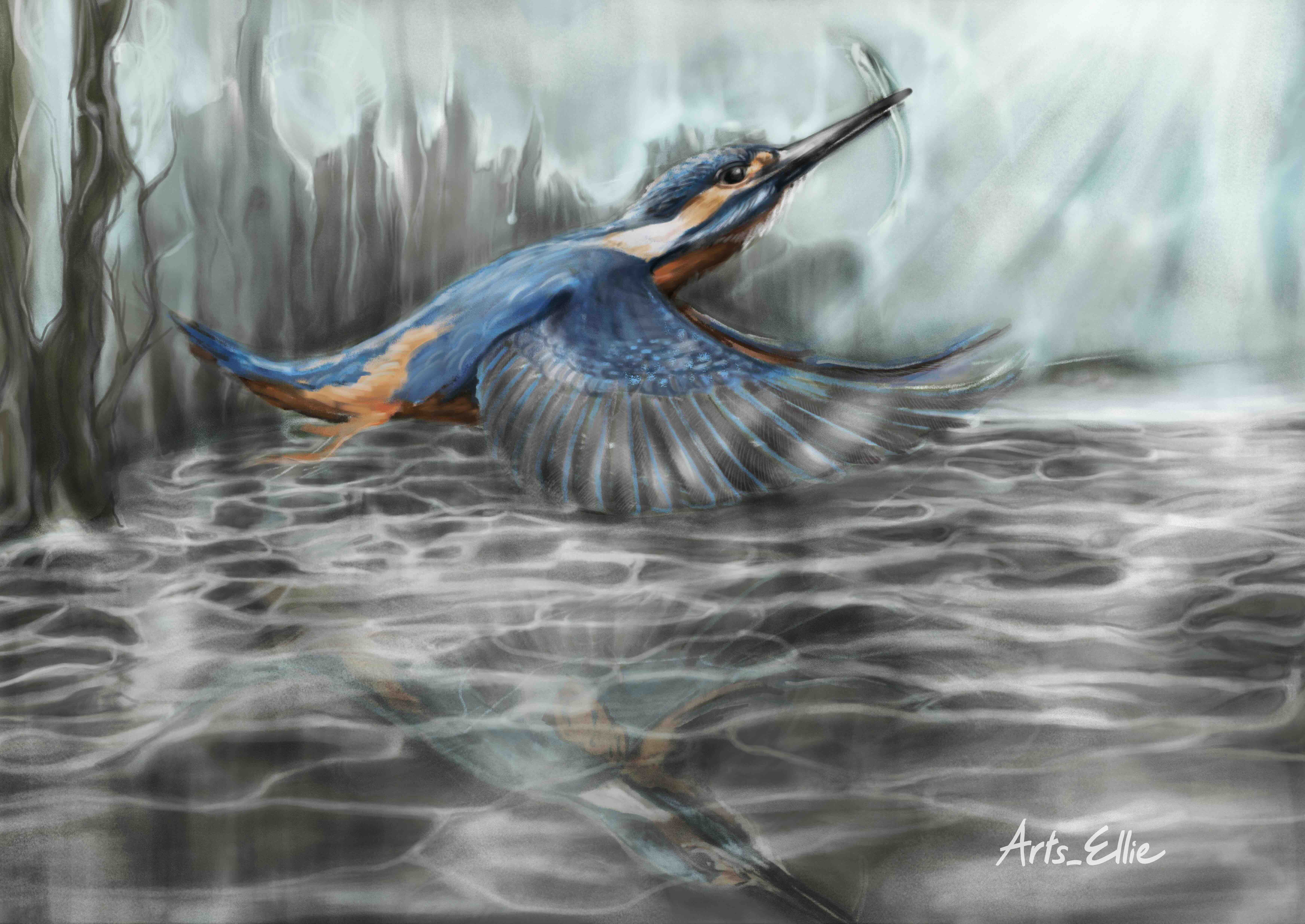 Kingfisher's Flight - June 2024