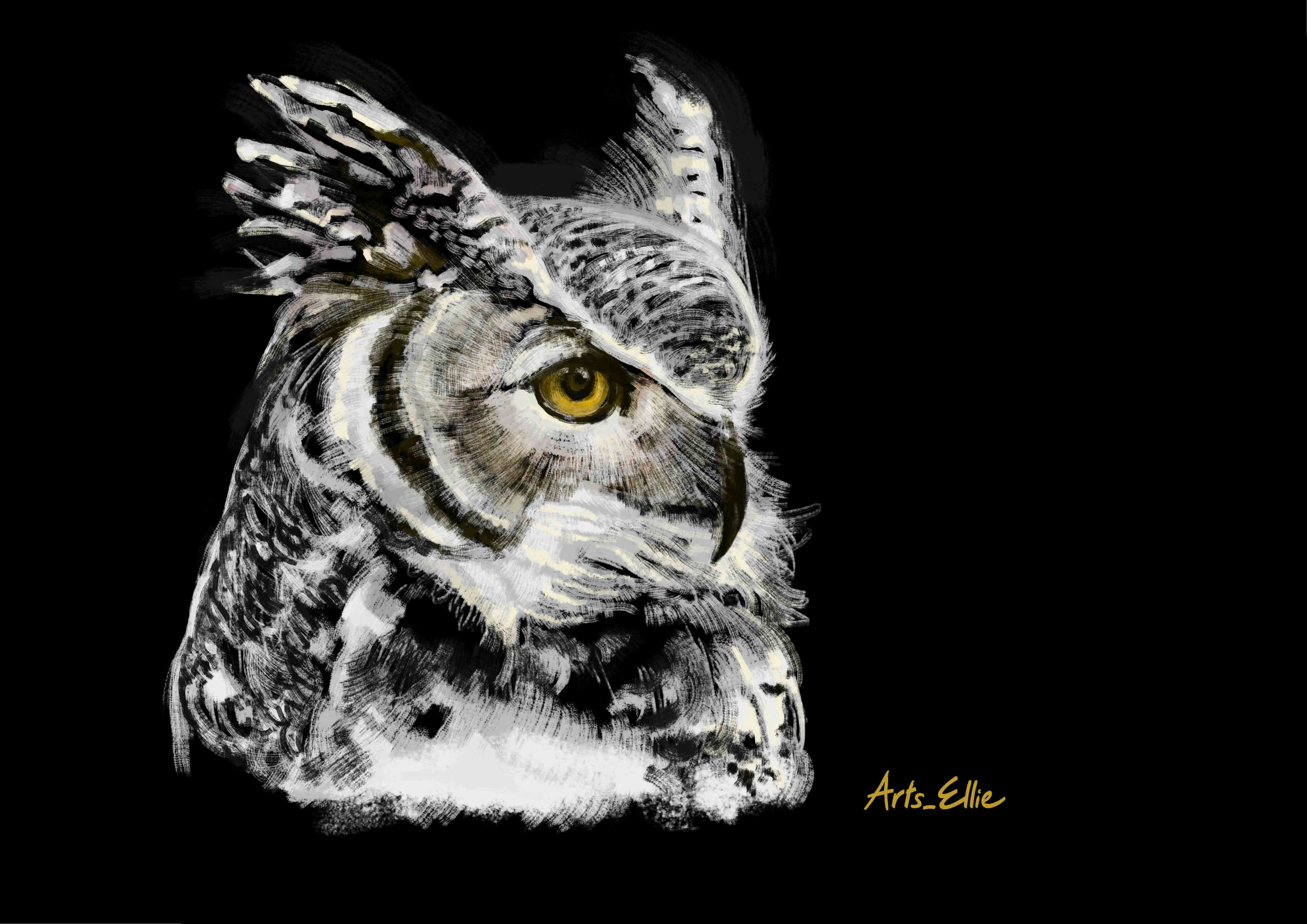 Great Horned Owl - June 2022